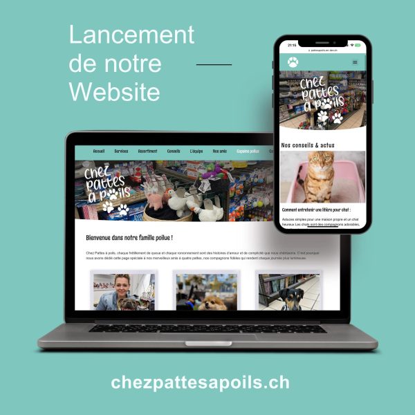 Lancement du site